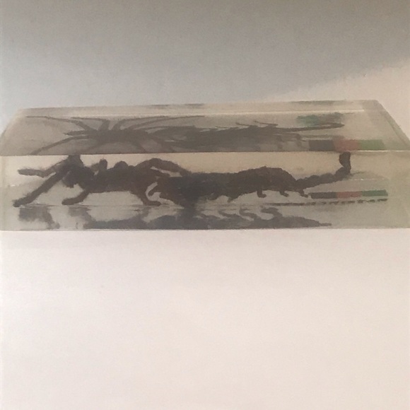 SCORPION AND SPIDER COLLECTABLE - Picture 3 of 4